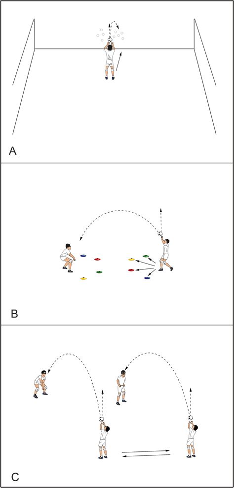 Effects of in-situ stroboscopic training on visual, visuomotor and ...