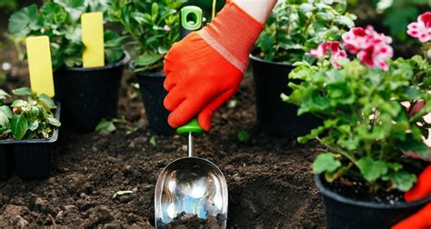 Gardening Tips & Tricks – Backyard Vegetable Gardener