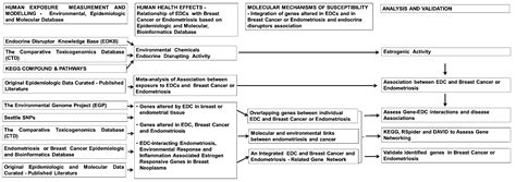 Integrated Bioinformatics, Environmental Epidemiologic and Genomic ...