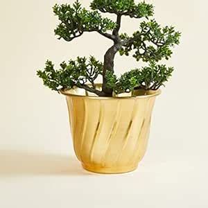 Home Centre Cairo Aria Gold Textured Metal Planter : Amazon.in: Garden ...