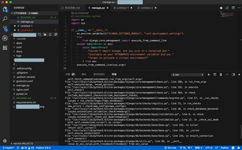 Invalid Syntax Python 的图像结果