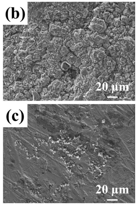 An Evaluation of the Corrosion Inhibition Performance of Chitosan ...