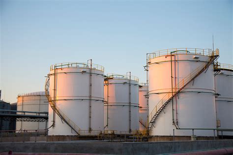 Import Control 的图像结果