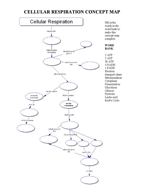 Y878naly Cellular Respiration Concept Map Concept Map Cellular