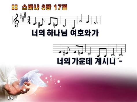 Basic Exercise Program 的图像结果
