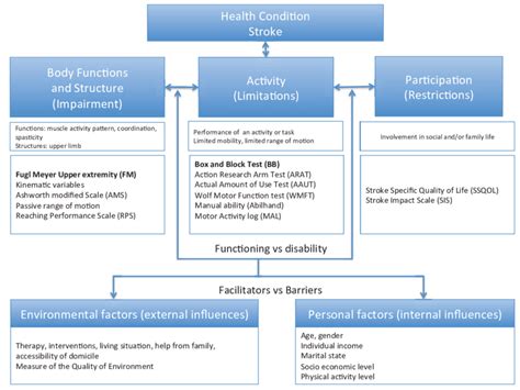 Image result for International Classification of Functioning Stroke