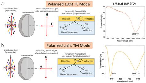 Simultaneous Generation of Surface Plasmon and Lossy Mode Resonances in ...