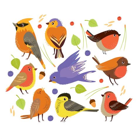 Page 3 | Robin redbreast Images - Free Download on Freepik