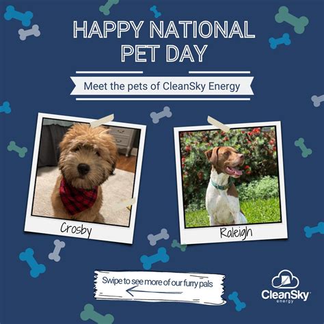 #nationalpetday #giveback #cleanenergy | CleanSky Energy