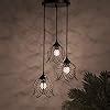 Buy Homesake B128 40-Watts Round Black Chandelier with Braided Cord ...