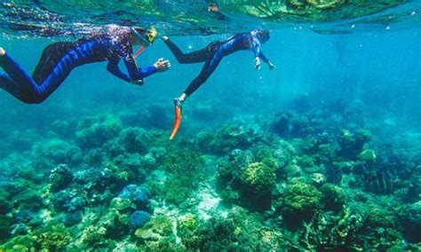 Port Douglas Tourism (2023): Best of Port Douglas, Australia - Tripadvisor