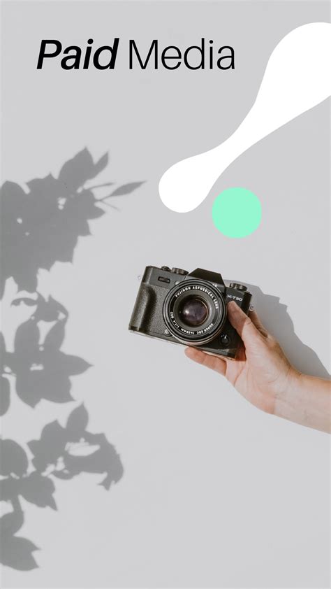 Paid Media – WeLink