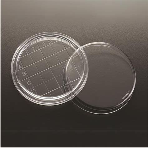 Aaruni Lifesciences - Valter