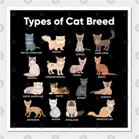 Image result for Computer Worksheet Web Browser