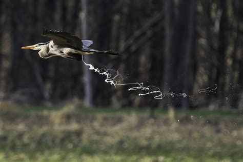 Hey this might make a nice pho-- : r/pics
