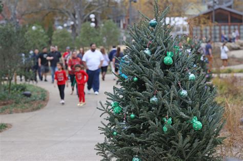 Here's How To Enjoy The Heart Of The Holidays In Downtown Cary ...