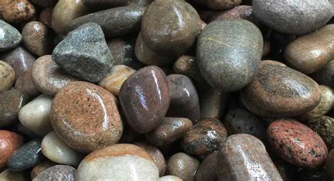 Image result for Cobble Cob