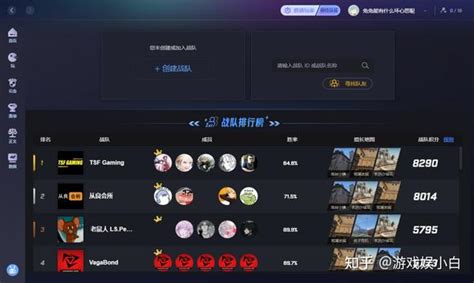 csgo完美平台设置在哪