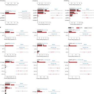 Image result for Prime Editing