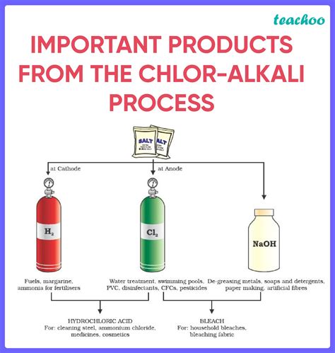 Chlor Alkali Process