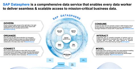 Sap Datasphere 的图像结果