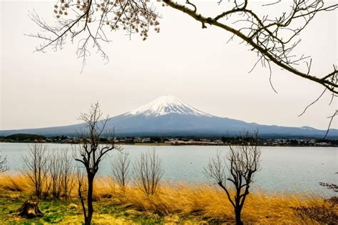 Japan View 的图像结果