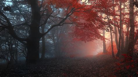 Consciousness Wallpapers - Top Free Consciousness Backgrounds - WallpaperAccess