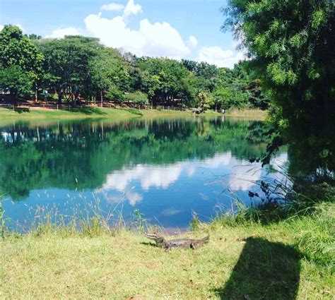 Hortolandia Tourism (2023): Best of Hortolandia, Brazil - Tripadvisor