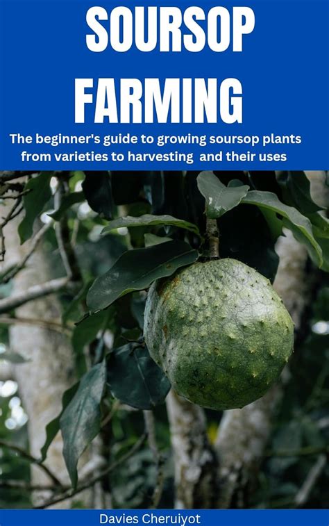 SOURSOP FARMING : The beginner's guide to growing Soursop plants from ...