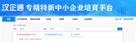 媒体聚焦2017武汉企业“双百强”发布 - 百强企业 - 武汉企业联合会