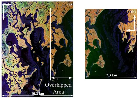 Remote Sensing | Special Issue : Remote Sensing in Coastal Ecosystem