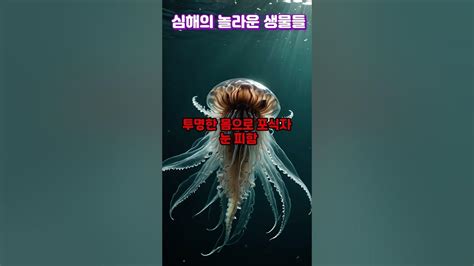 Image result for Alien Movement