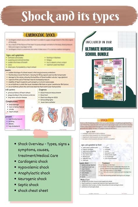 Shock Types 的图像结果