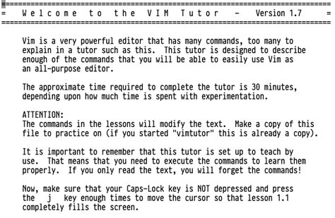 Image result for Vim Coding Pro