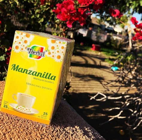 Manzanilla / Chamomile Tea – Medicinas Naturales