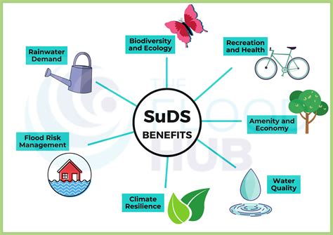 What Is Suds