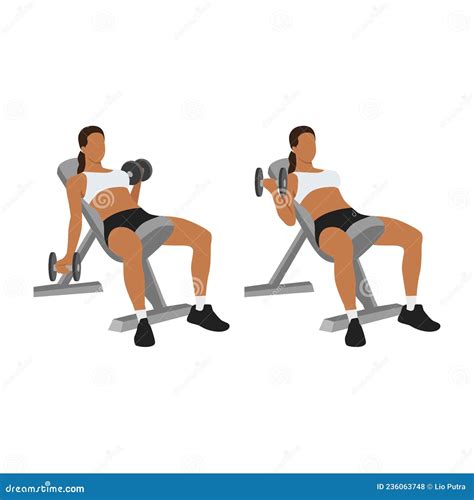 Woman Doing Seated Alternating Incline Bench Dumbbell Curls Stock ...