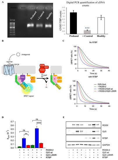 Extended Phenotyping and Functional Validation Facilitate Diagnosis of ...