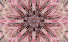 Light Color Pattern Star Fractal Lines Abstraction Background Pink ...