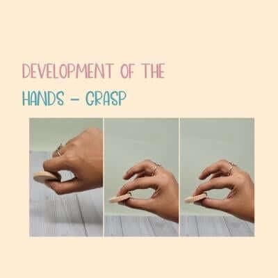 Development of the hands – Grasp