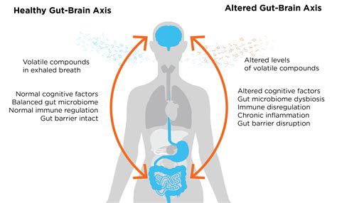 Breathe Deep, Think Big: Exploring the Gut-Brain Axis