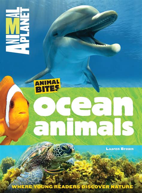 Jean Little Library: Nonfiction Monday: Animal Planet: Ocean Animals ...