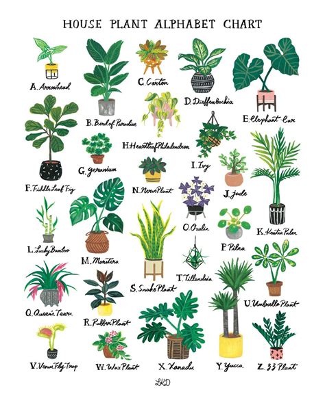 plant b