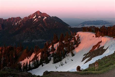Queets Campground Washington: Reservations & Amenities
