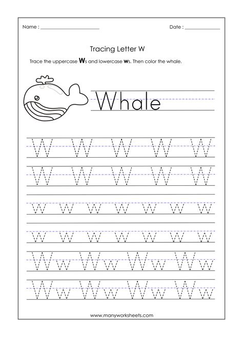 Letter W Tracing Preschool | AlphabetWorksheetsFree.com