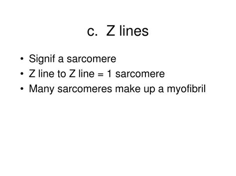 Image result for Z-Line Muscle Cell