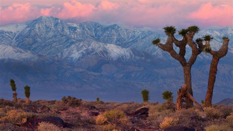 Mojave Desert Wallpapers - Top Free Mojave Desert Backgrounds ...