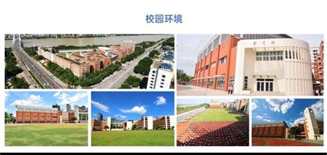 为何惠州市知行学校能成为惠州家长心中的“好学校”？- 南方企业新闻网