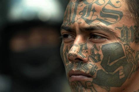 Mara Salvatrucha Movie