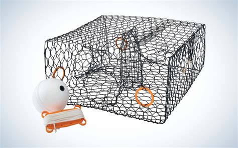 Best Crab Traps of 2022 | Outdoor Life